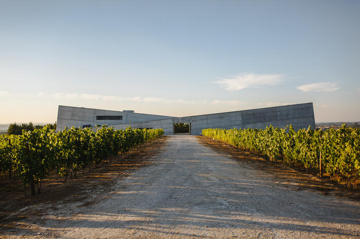Caminhos Cruzados - Visit & Tasting of 3 Wines