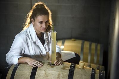 Quinta de Santa Cristina - Winemaker for a Day