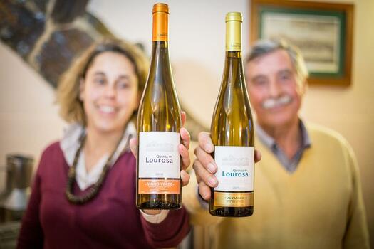 Quinta de Lourosa - Winemaker for a Day