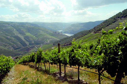 Secrets of Douro & Tâmega - 3 Days