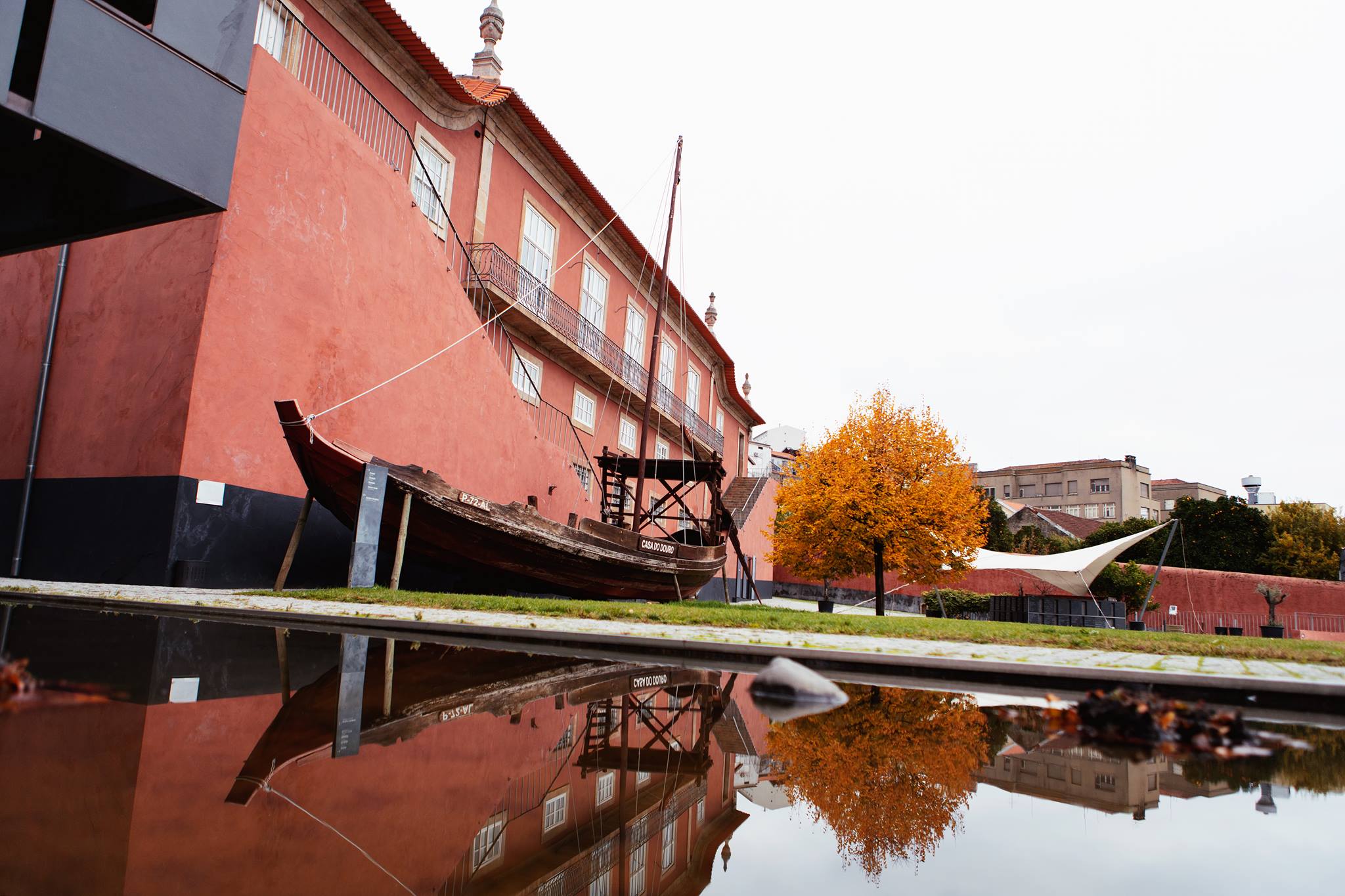 Museu do Douro - Premium Tasting