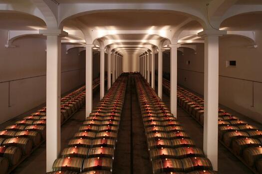 Adega Campolargo - Prova de Vinhos São Mateus