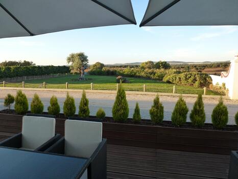 Wines of Alentejo Highlands