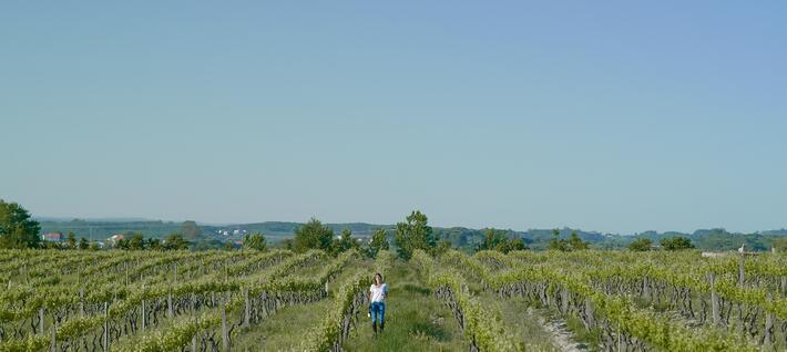 Caminhos Cruzados - Peddy Paper at Vineyards