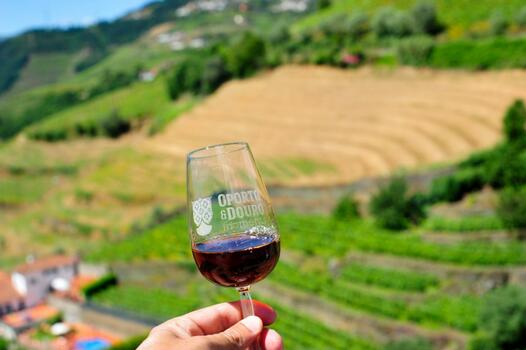 Private Douro Valley Tour 