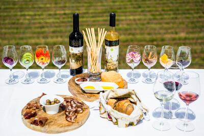 Adega Mayor - Picnic en el Viñedo