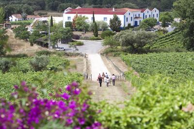 Monte da Ravasqueira - Visita & Cata Heritage