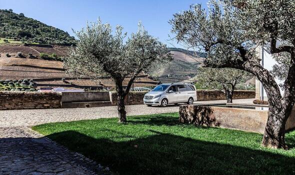 Douro Valley Private Tour