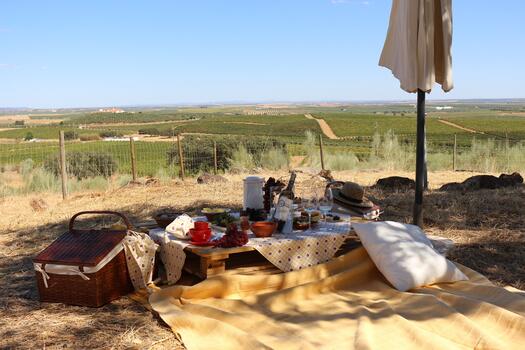 Herdade Grande - Vinhos & Piquenique – Vidigueira, Alentejo