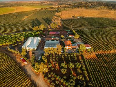 Herdade Grande - Cata de Verano