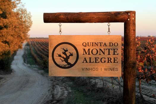 Quinta do Monte Alegre - Tasting & Guided Tour