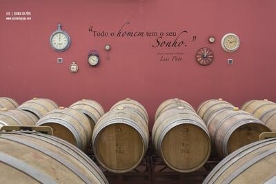 Quinta do Pôpa - Visit & aDouro Wine Tasting