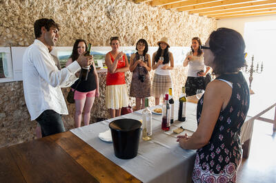 Arrábida Wine Tour
