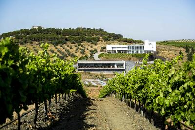 Quinta do Quetzal - Del Viñedo para la Copa