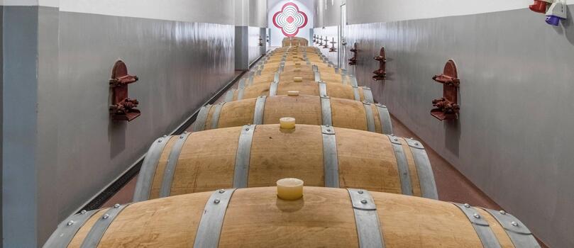 Pedra Cancela - Visit & Superior Tasting
