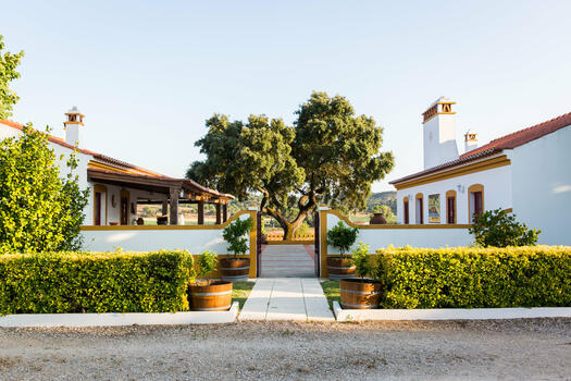 Monte da Raposinha – Visita & Cata de Vinos