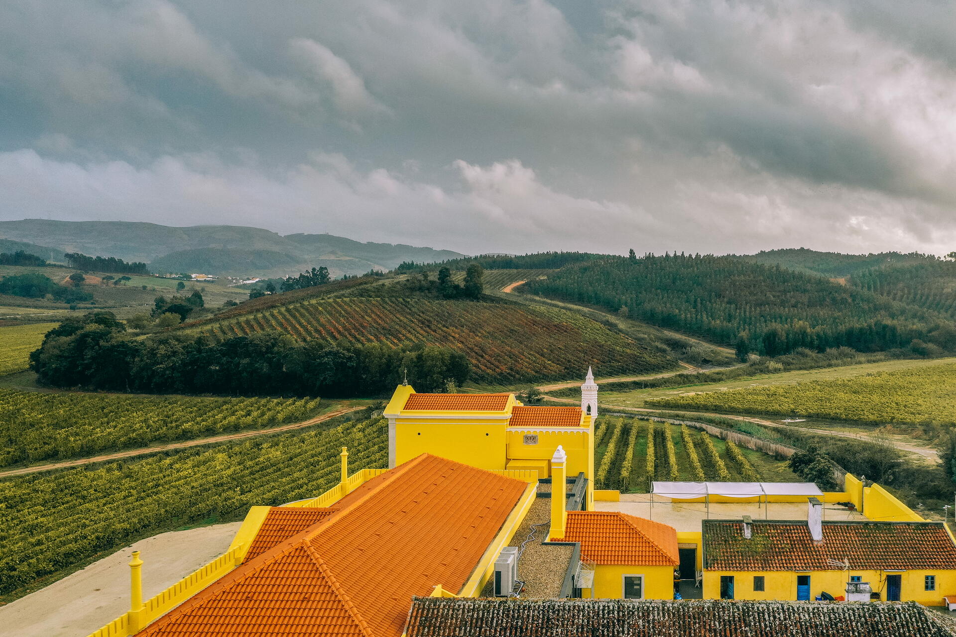 Quinta do Gradil - Menu Vínico 