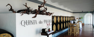 Quinta do Piloto -  Piloto Programe