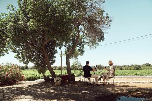 Paxá Wines - Visita & Prova Superior