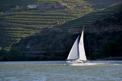 Wine & Sail 