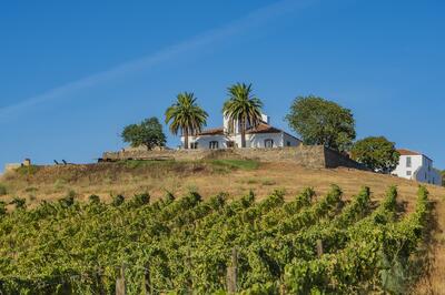 Herdade do Vau - Cata de Vinos RISO
