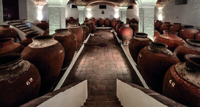Adega José de Sousa – Cata de Vinos de Tinaja