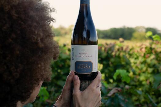 Quinta da Alorna - 3 Reserves Tasting