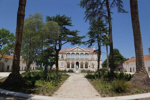 Quinta da Alorna - Single Varietal Tasting