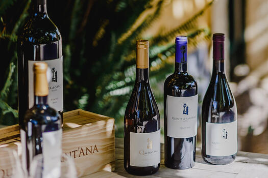Quinta de Sant'Ana – Wine Expert