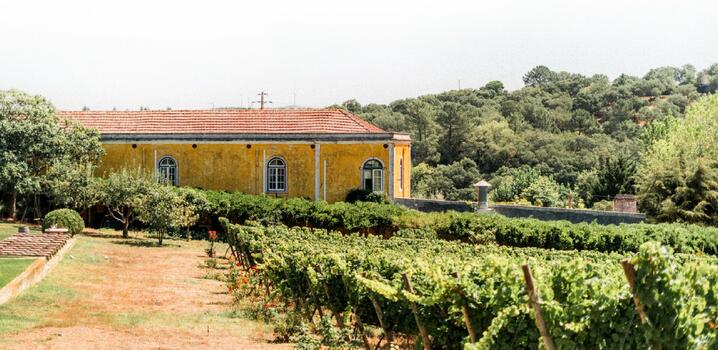 Quinta de Sant'Ana – Wine Adventurer