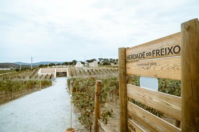 Herdade do Freixo – Visita & Cata Premium