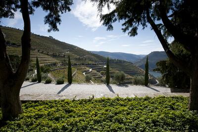 Quinta do Seixo – Visita Premium Douro DOC 