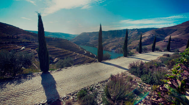 Quinta do Seixo – Visita Douro