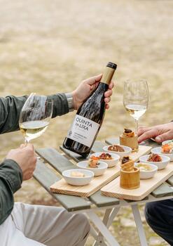 Monverde – Vine Vs Barrel 