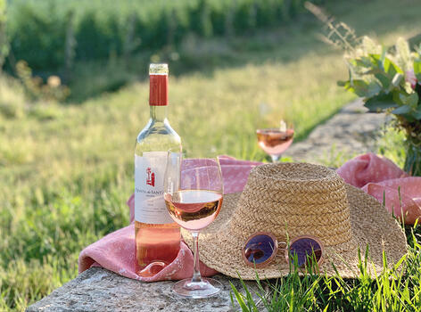 Quinta de Sant’Ana – Picnic in the Vineyards