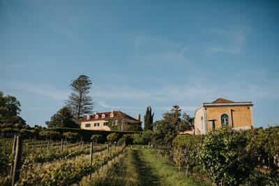 Quinta de Sant'Ana – Vintage Wine Adventurer