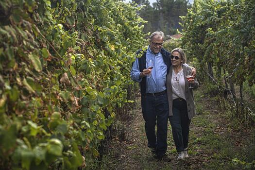 Quinta de Santa Cristina - Selection Wine Tasting