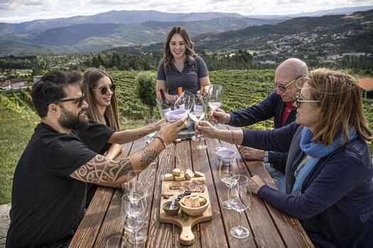 Quinta de Santa Cristina - Premium Tasting