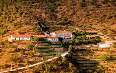 Quinta do Panascal – Visita & Prova Delight 