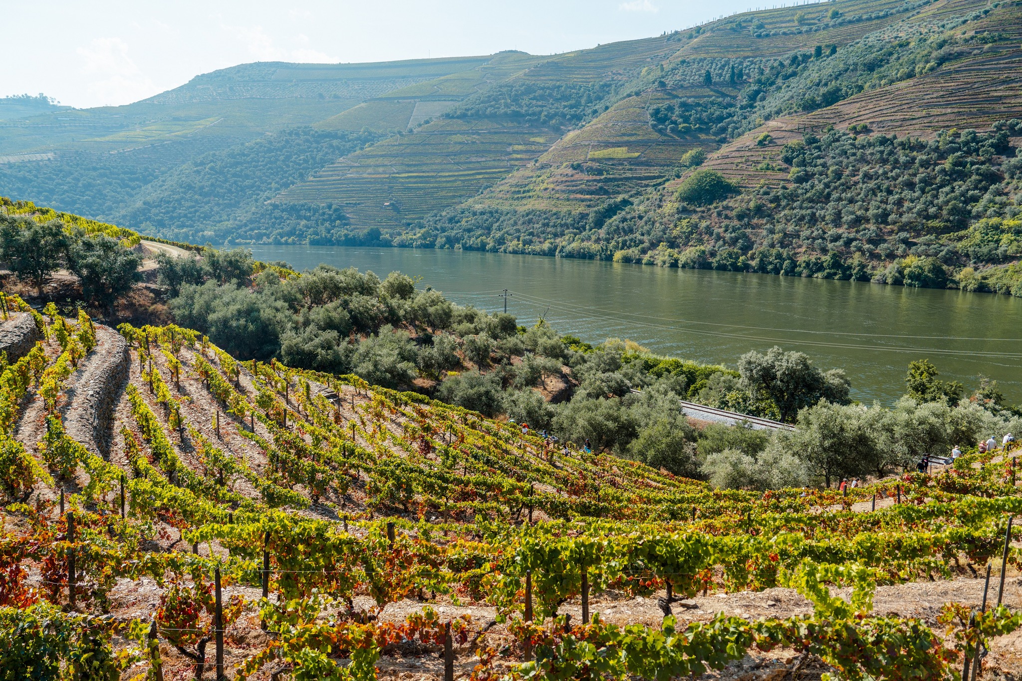 Quinta da Roêda – Tour & Croft Tasting