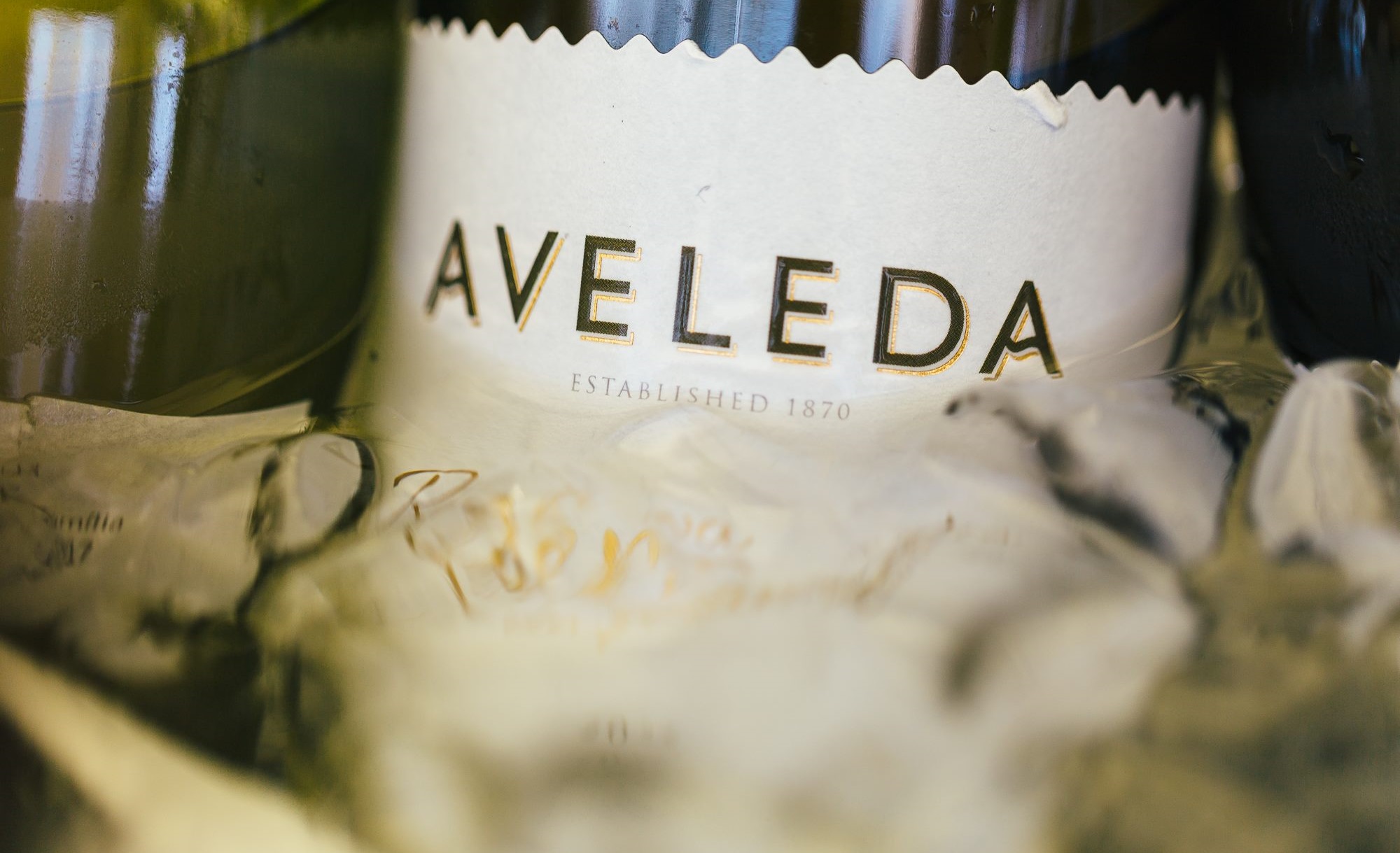 Aveleda – Private Visit & Only The Best Tasting 