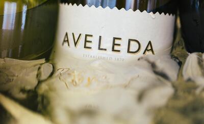 Aveleda – Private Visit & Only The Best Tasting 