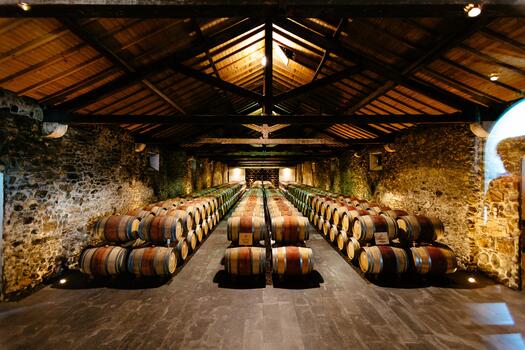 Quinta do Monte d'Oiro - Visit & 5 Wine Tasting