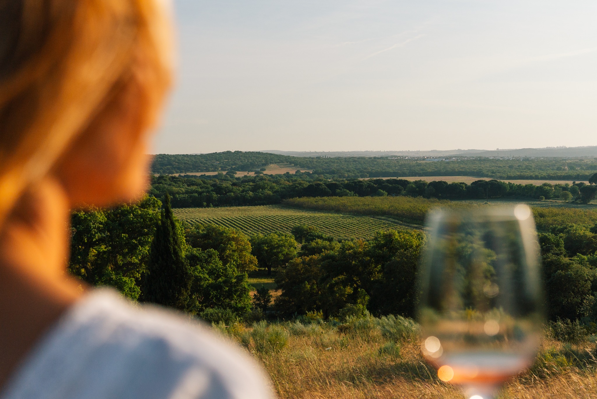 Tapada de Coelheiros – Visit & Terroir Tasting