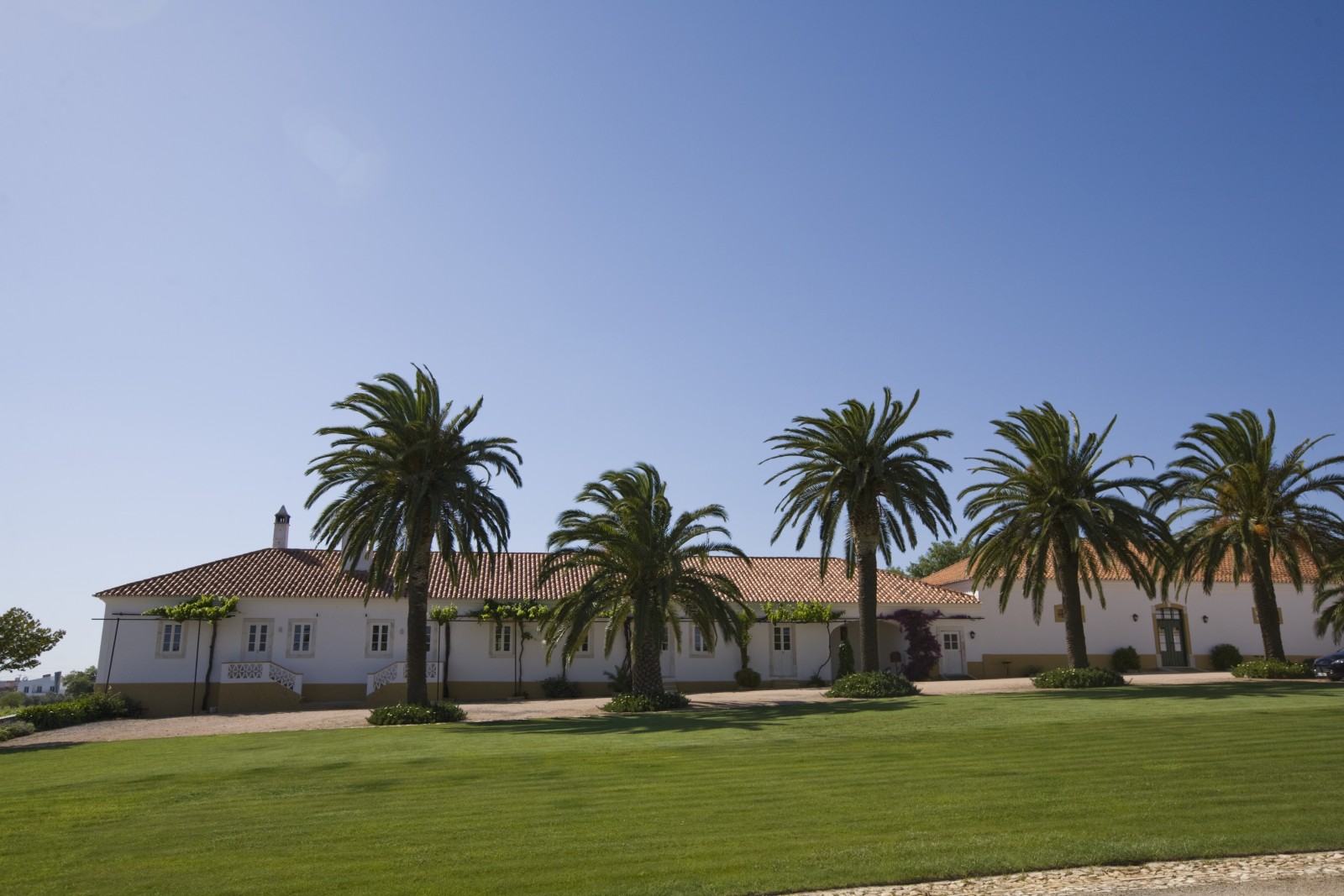 Quinta do Carmo – Visit & Standard Tasting