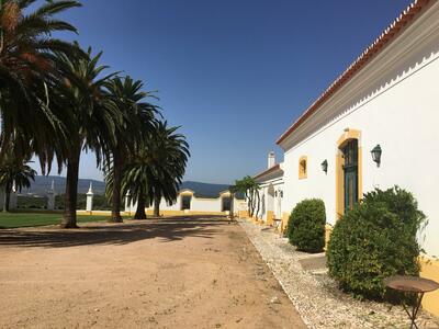 Quinta do Carmo – Visita & Prova Super Premium