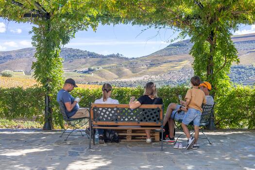 Tour Privado ao Douro Histórico