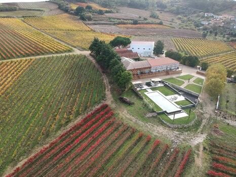  Quinta da Boa Esperança – 3 Special Wine Tasting