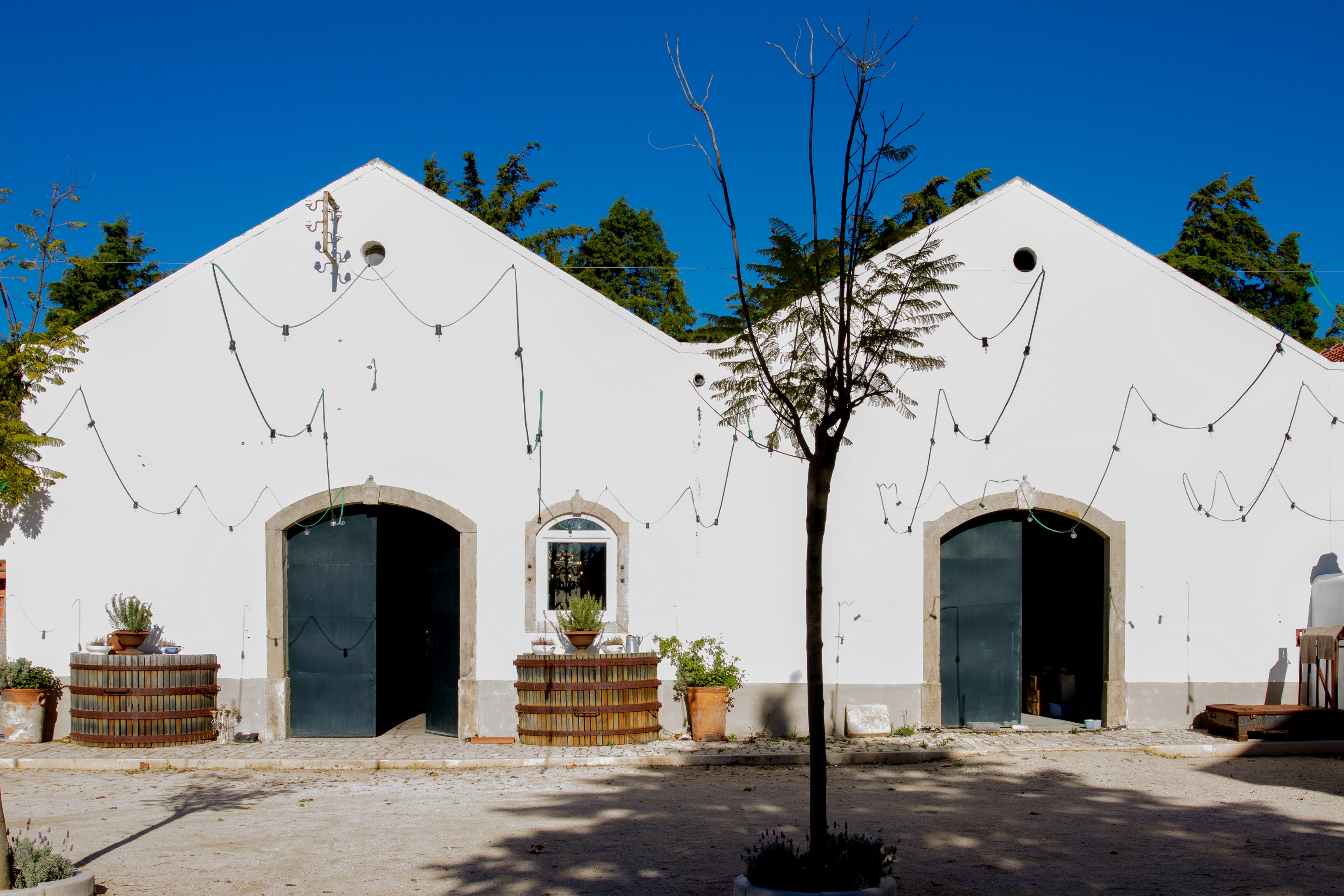 Quinta da Boa Esperança – 6 Wine Tasting 