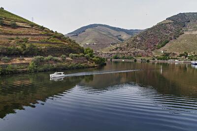 Douro Funny